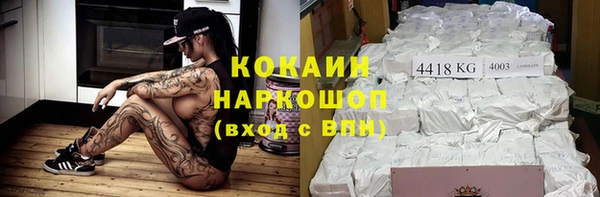 мдпв Михайлов