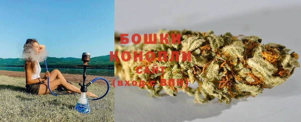 гашик Михайловка