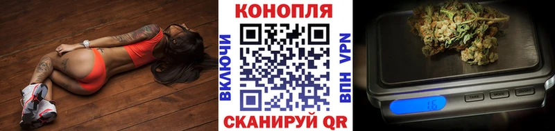 Каннабис план  Купить закладки  Сосновоборск 